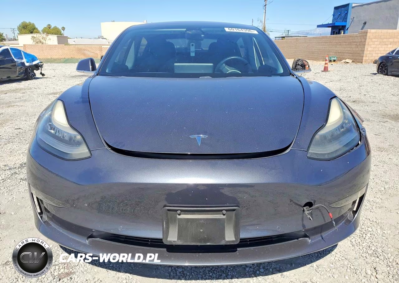 2019 Tesla Model 3 VIN:5YJ3E1EA4KF417616 - 5