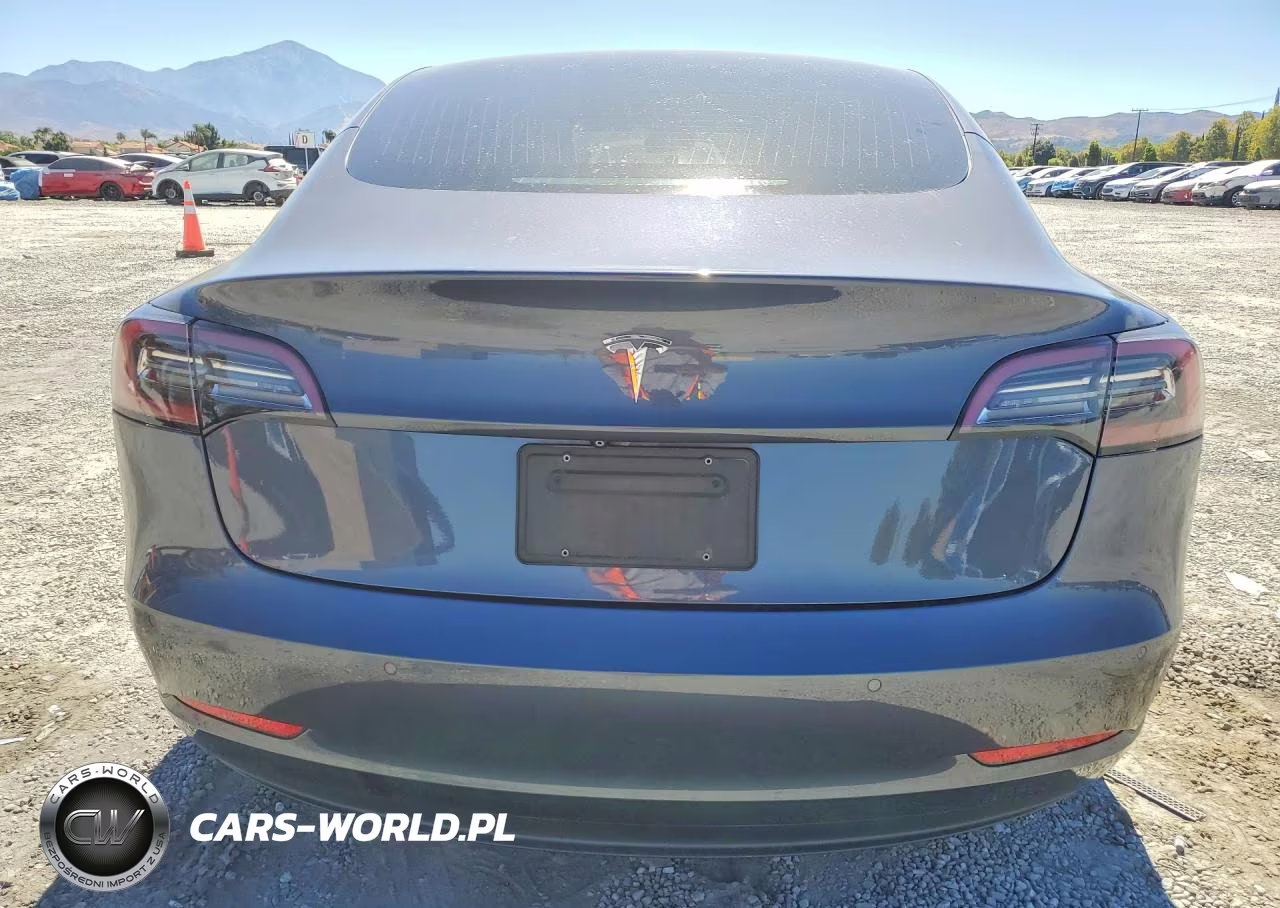 2019 Tesla Model 3 VIN:5YJ3E1EA4KF417616 - 6
