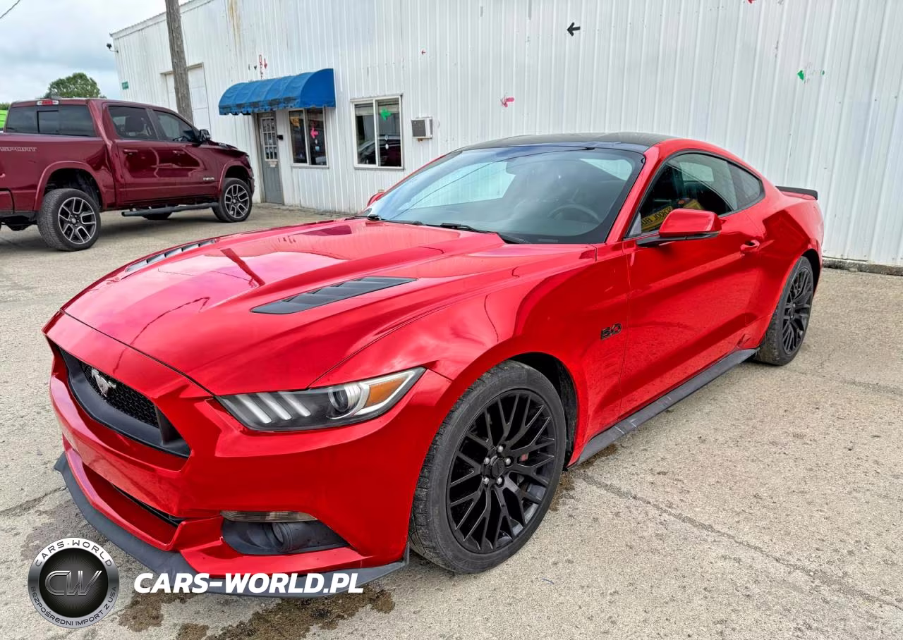 2015 Ford Mustang Gt VIN:1FA6P8CF1F5434143 - 2