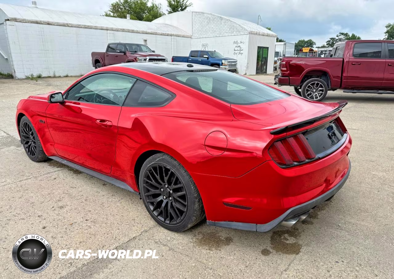 2015 Ford Mustang Gt VIN:1FA6P8CF1F5434143 - 3