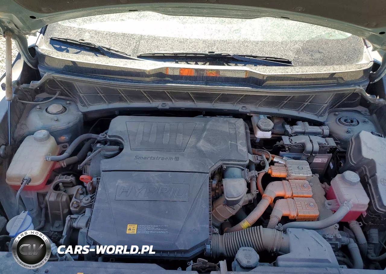 KIA NIRO SX VIN:KNDCT3LE7P5107900 - 12