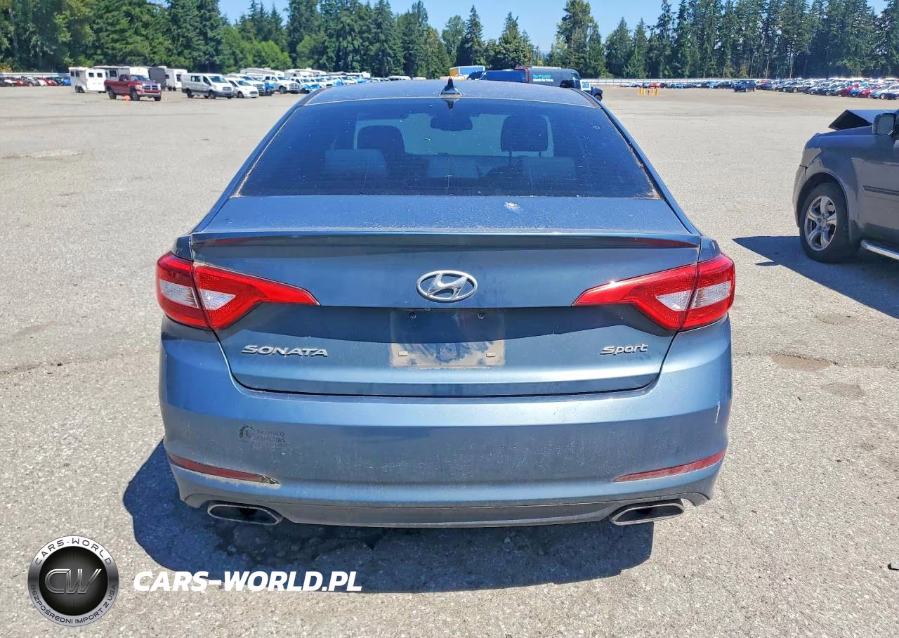 2016 Hyundai Sonata Sport VIN:5NPE34AF0GH430941 - 6