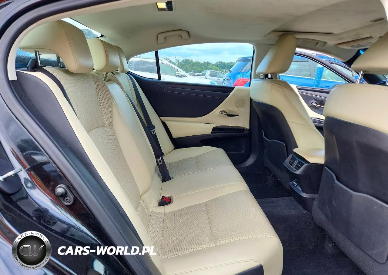 2022 Lexus Es 250 Base VIN:58AD11D14NU008260 - 10