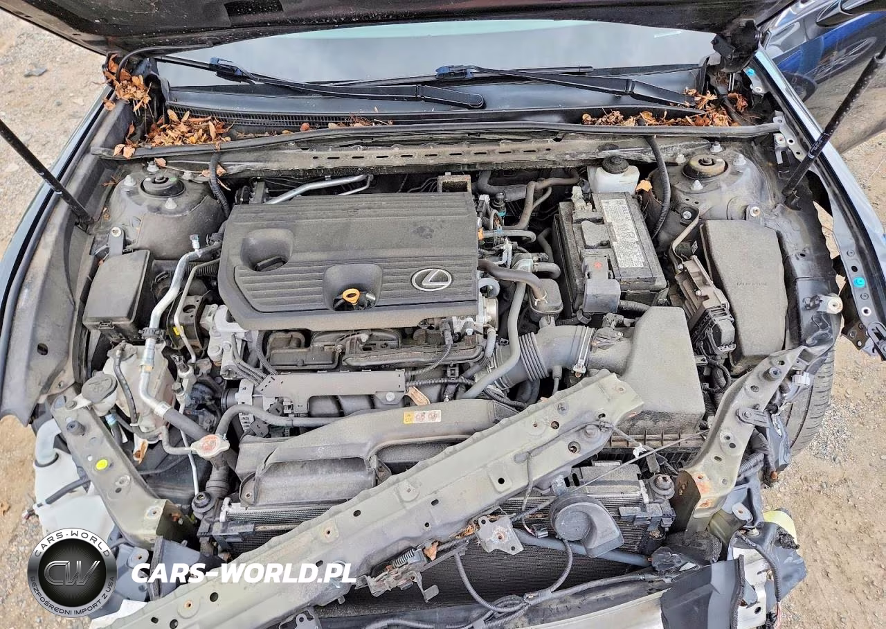 2022 Lexus Es 250 Base VIN:58AD11D14NU008260 - 11