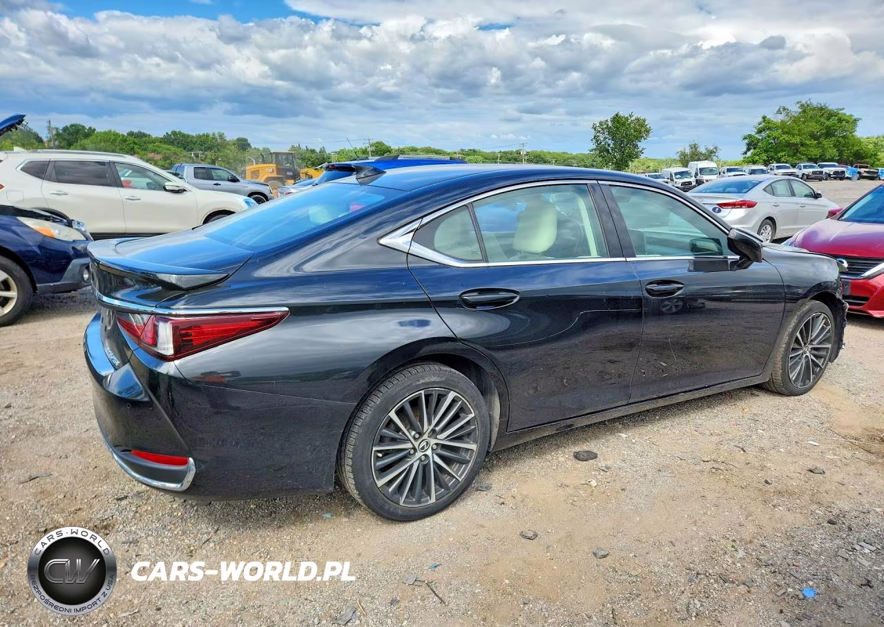 2022 Lexus Es 250 Base VIN:58AD11D14NU008260 - 3