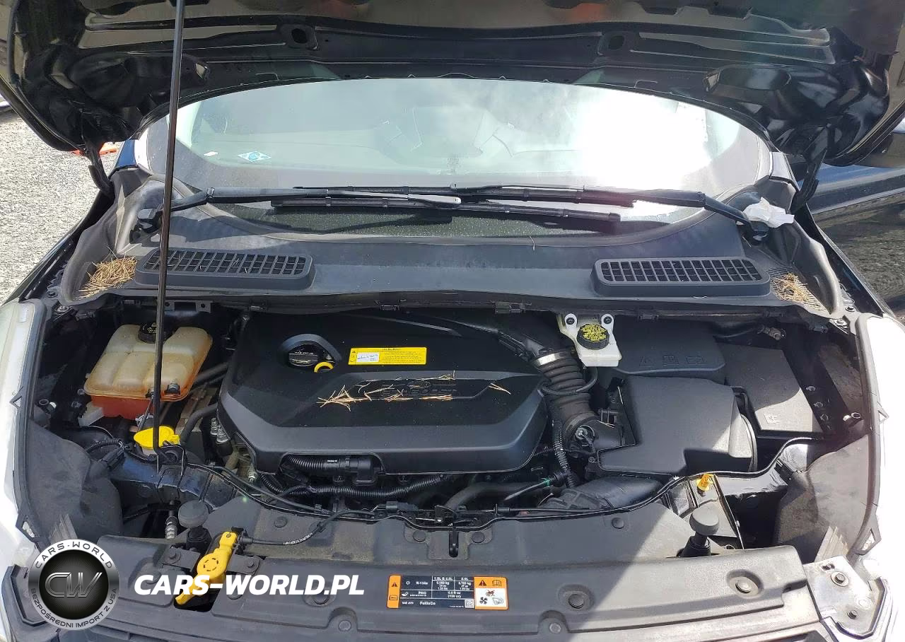 2016 Ford Escape Se VIN:1FMCU9GX2GUA40135 - 12