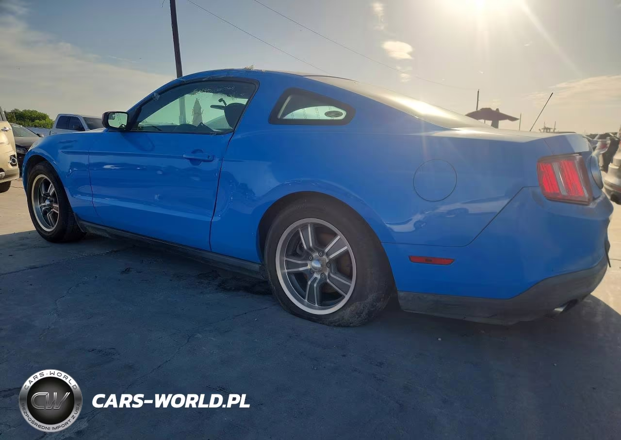 2011 Ford Mustang VIN:1ZVBP8AM7B5126282 - 2