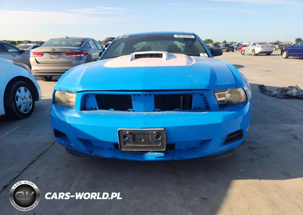 2011 Ford Mustang VIN:1ZVBP8AM7B5126282 - 5