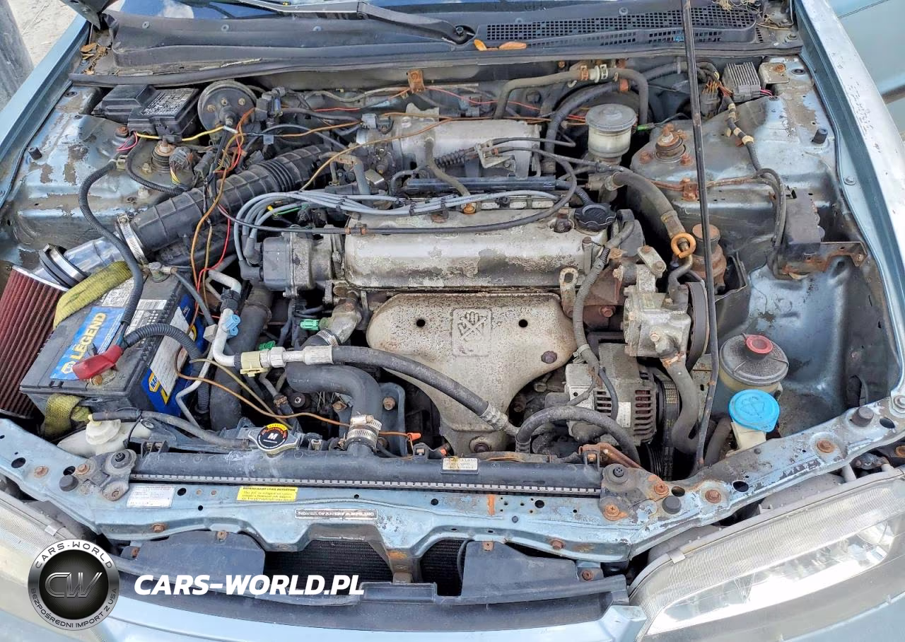 1995 Honda Accord Lx VIN:1HGCD563XSA095018 - 11