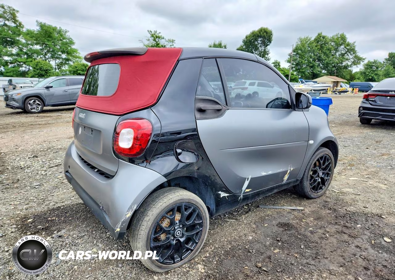 2019 Smart Fortwo VIN:WMEFK9BA8KK393186 - 3