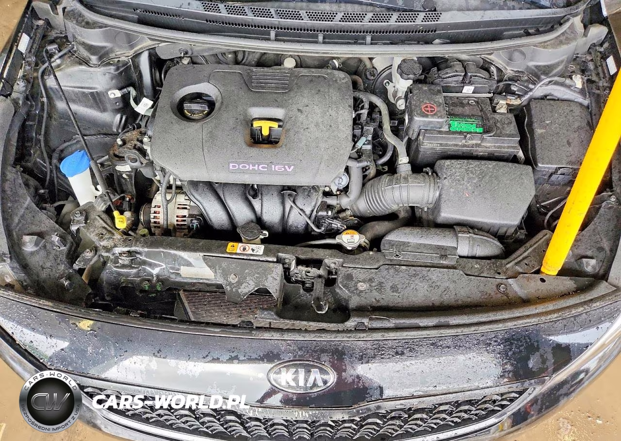 2017 Kia Forte Lx VIN:3KPFK4A74HE039720 - 11