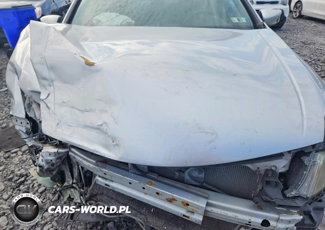 2010 Honda Accord Lxp VIN:1HGCP2F4XAA100831 - 11