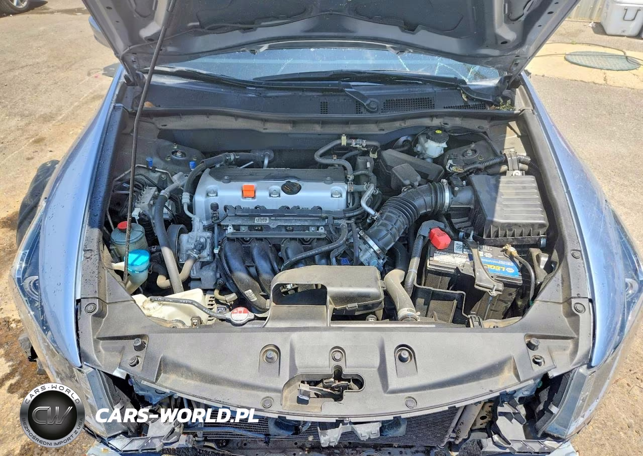 2011 Honda Accord Lx VIN:1HGCP2F34BA096719 - 11
