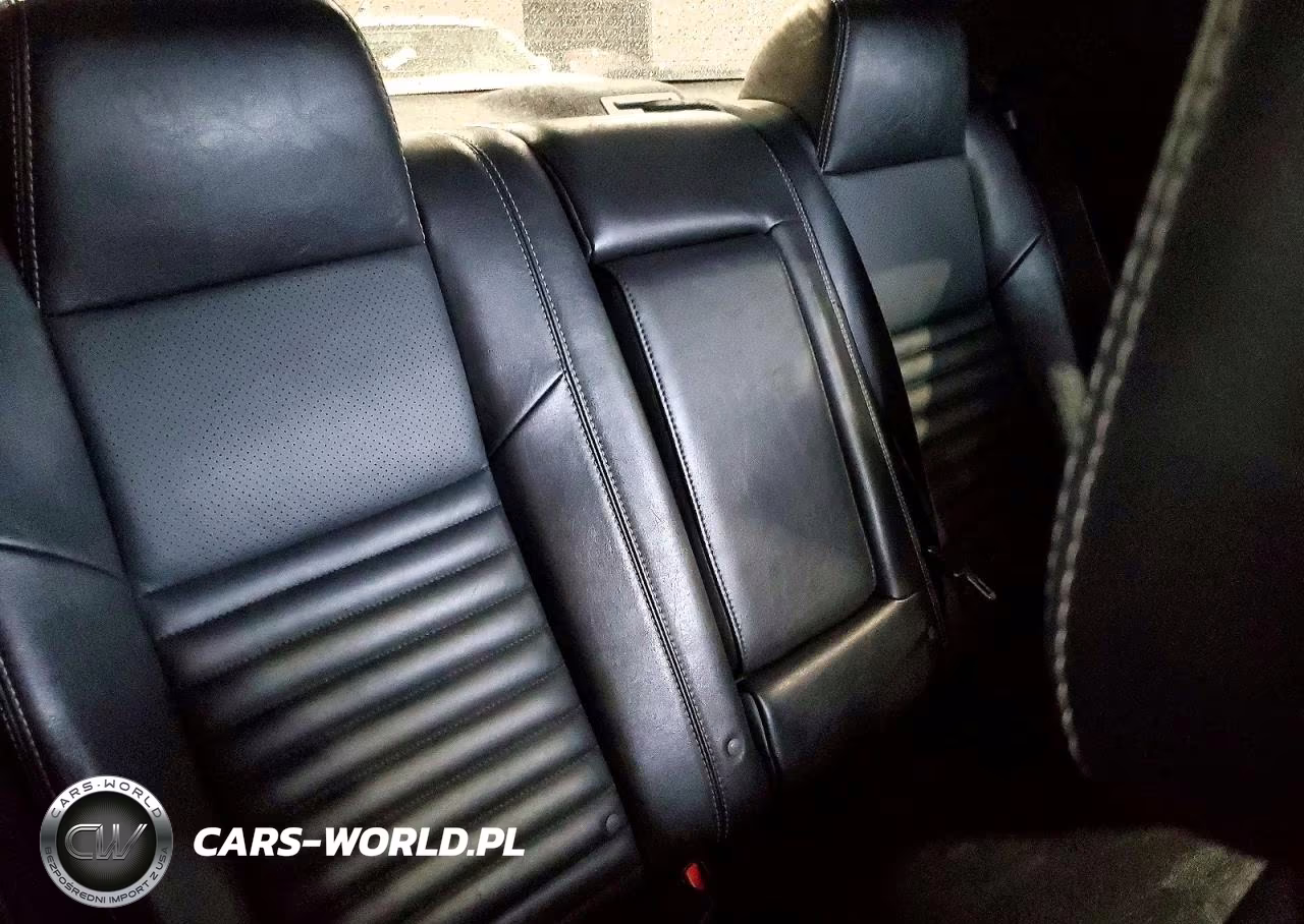 2010 Dodge Challenger Se VIN:2B3CJ4DV1AH110397 - 10