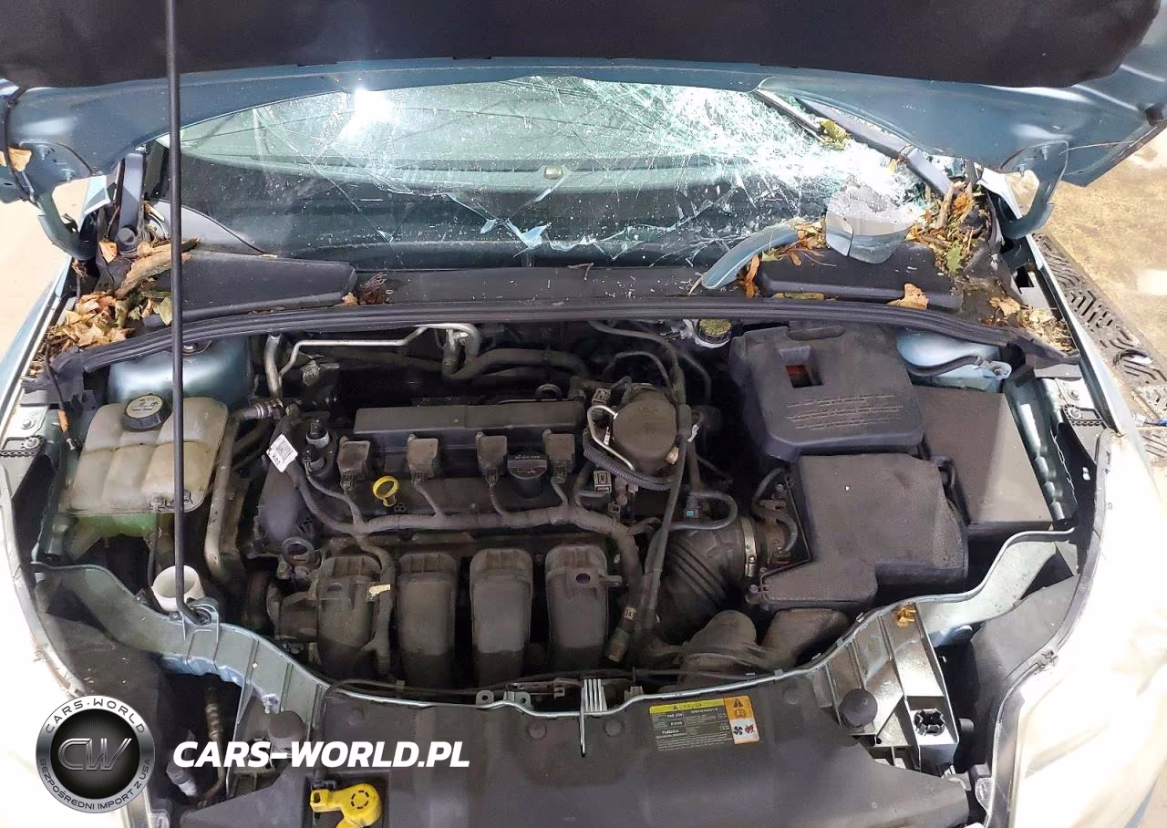 2012 Ford Focus Sel VIN:1FAHP3H27CL192029 - 11
