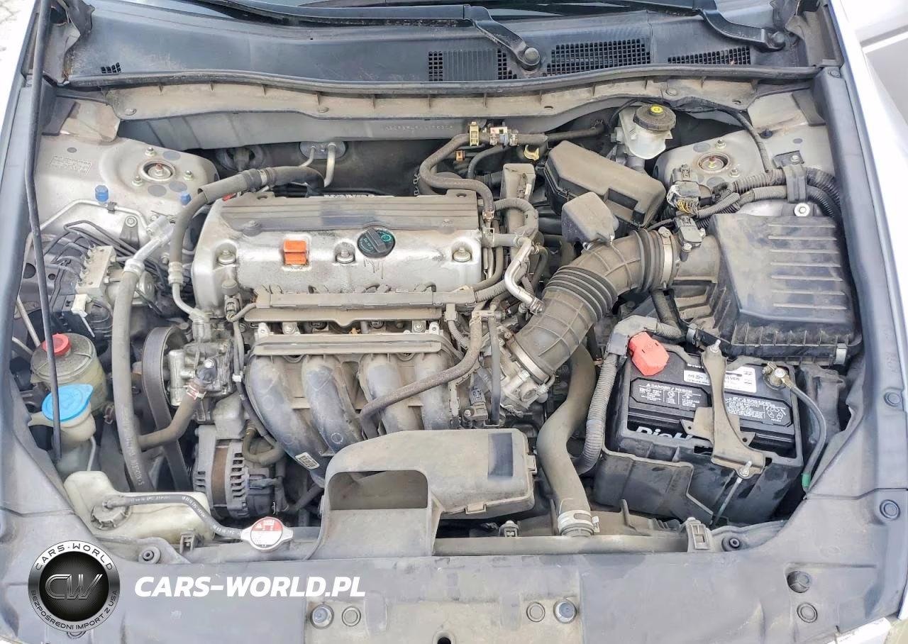 2010 Honda Accord Lxp VIN:1HGCP2F49AA175309 - 11
