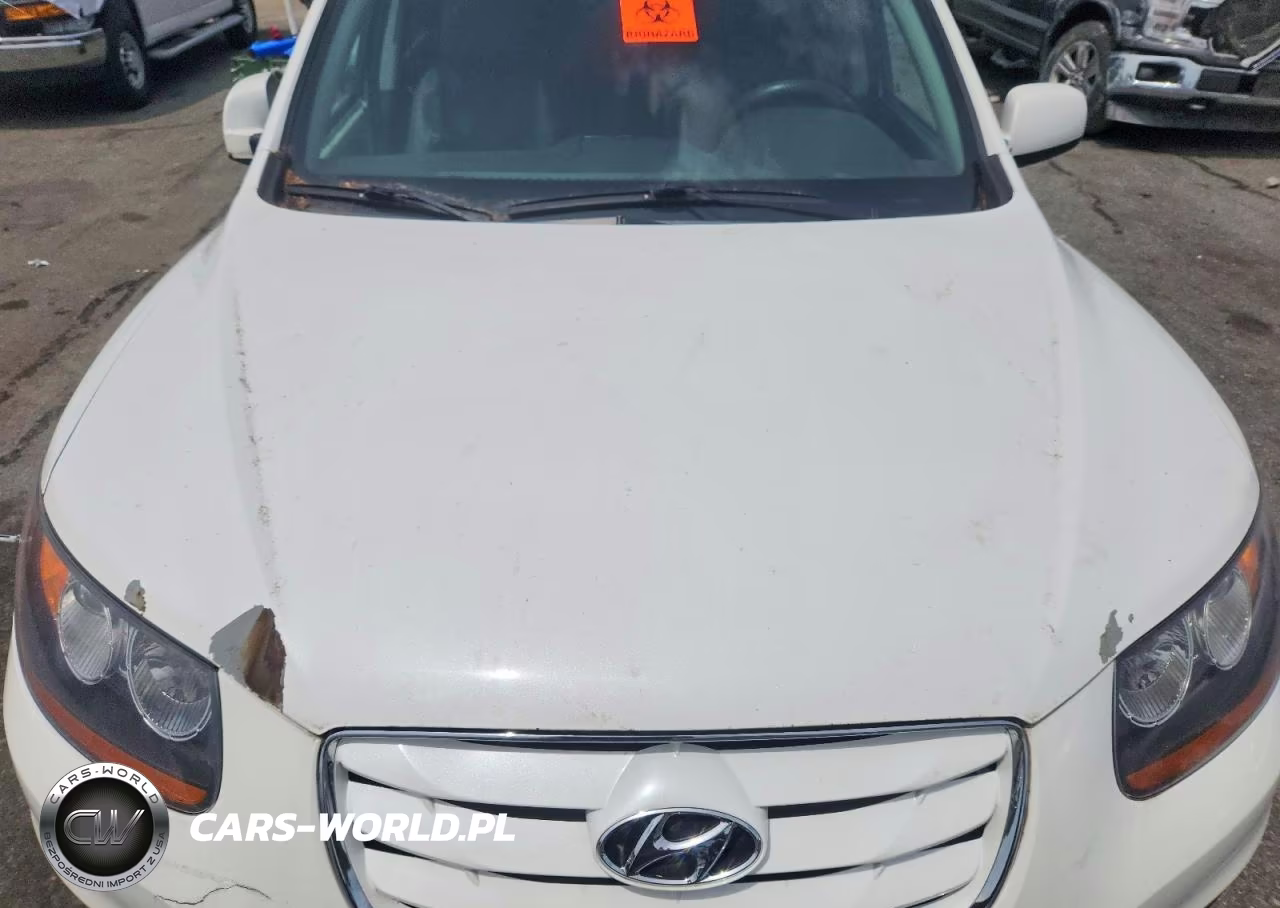 2010 Hyundai Santa Fe Se VIN:5NMSHDAGXAH409063 - 12