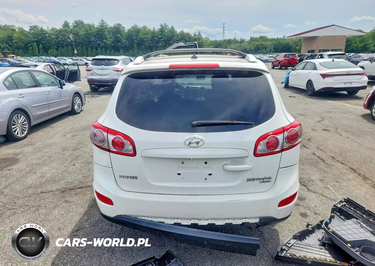 2010 Hyundai Santa Fe Se VIN:5NMSHDAGXAH409063 - 6
