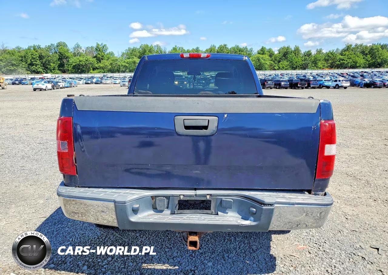 2010 Chevrolet Silverado K1500 Lt VIN:1GCSKSEAXAZ235891 - 6