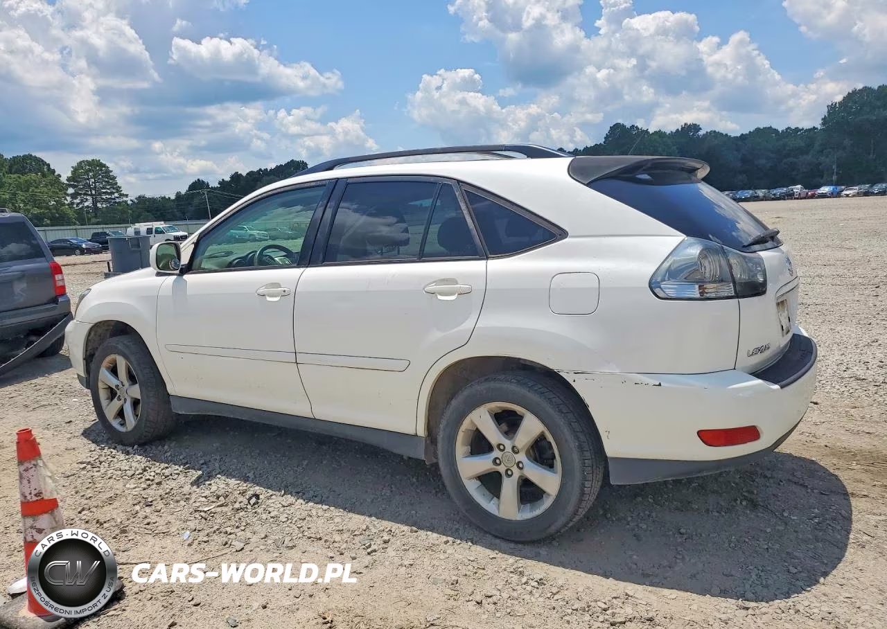 2004 Lexus Rx 330 VIN:JTJGA31U040015132 - 2