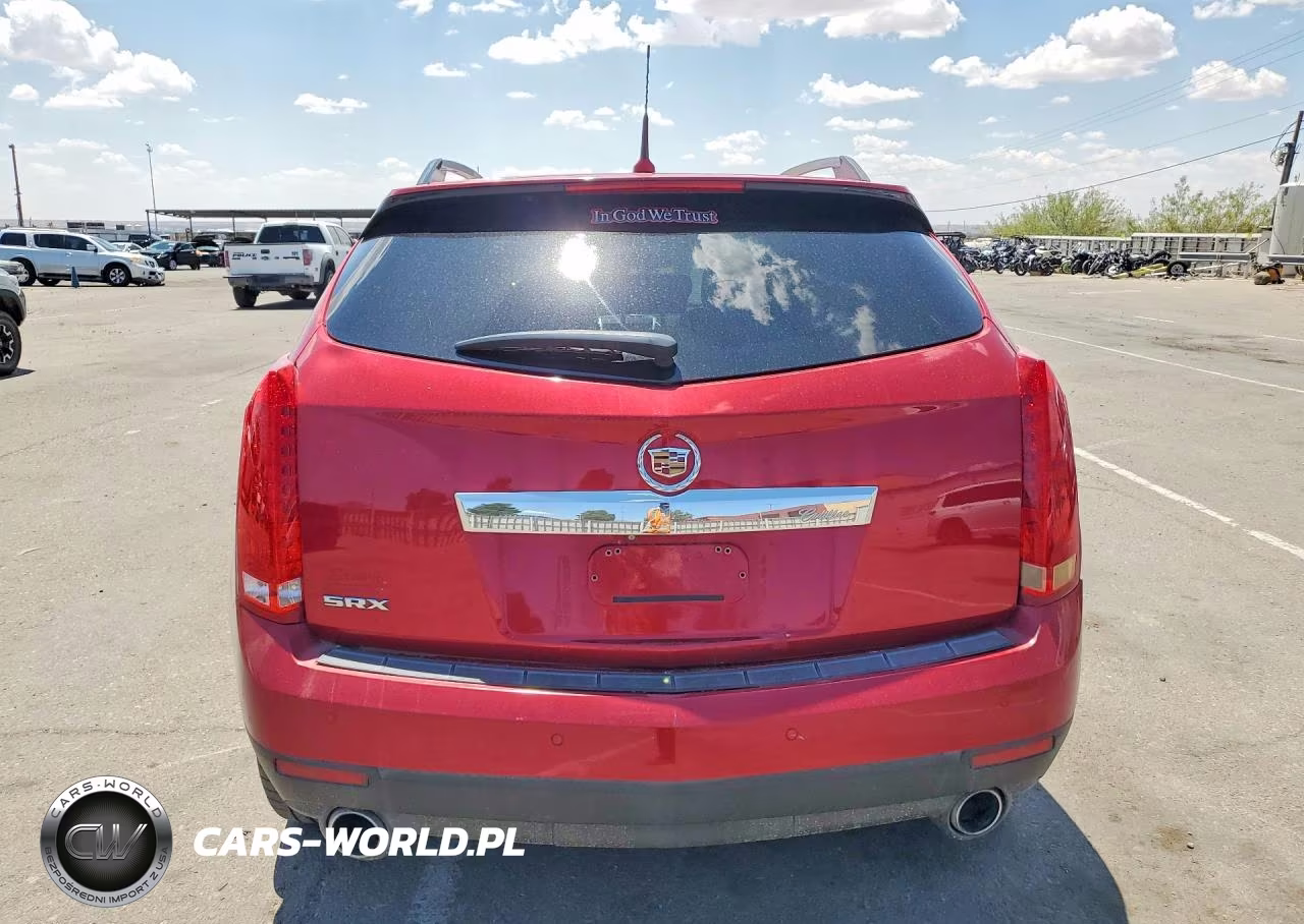 2010 Cadillac Srx Premium Collection VIN:3GYFNCEY8AS563040 - 6