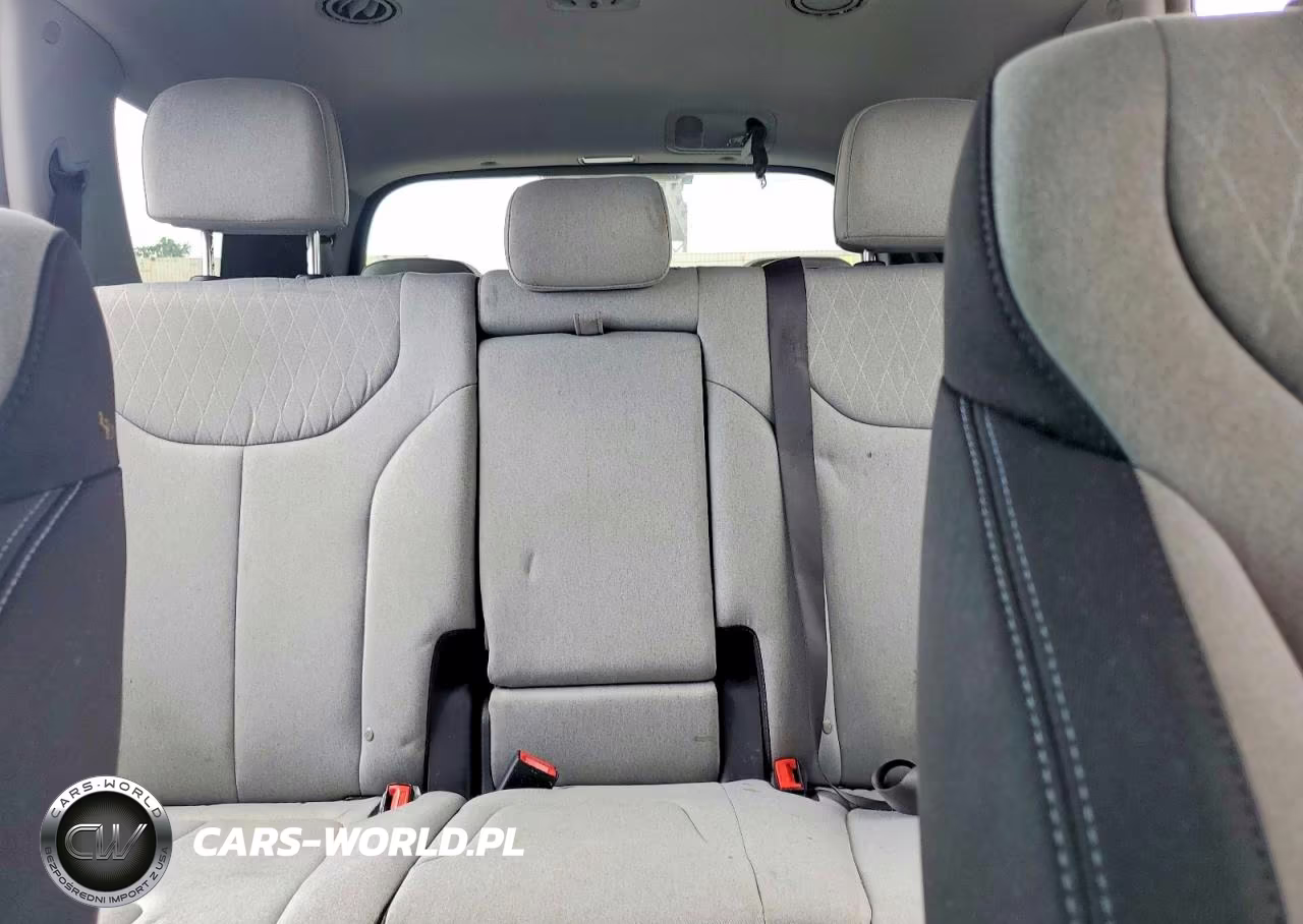 2020 Hyundai Palisade Sel VIN:KM8R34HE7LU170662 - 10