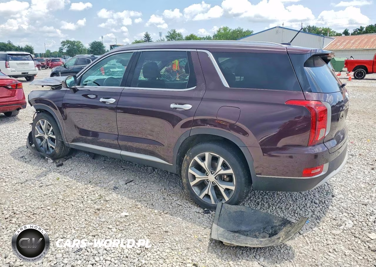 2020 Hyundai Palisade Sel VIN:KM8R34HE7LU170662 - 2