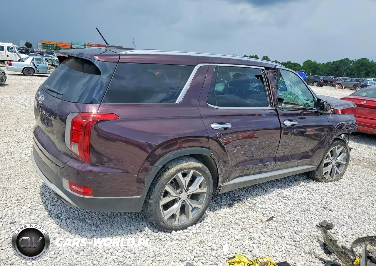 2020 Hyundai Palisade Sel VIN:KM8R34HE7LU170662 - 3