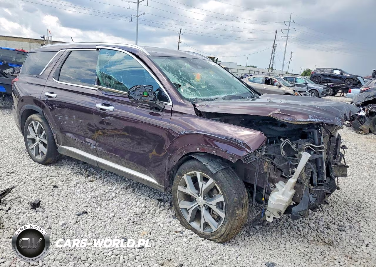 2020 Hyundai Palisade Sel VIN:KM8R34HE7LU170662 - 4
