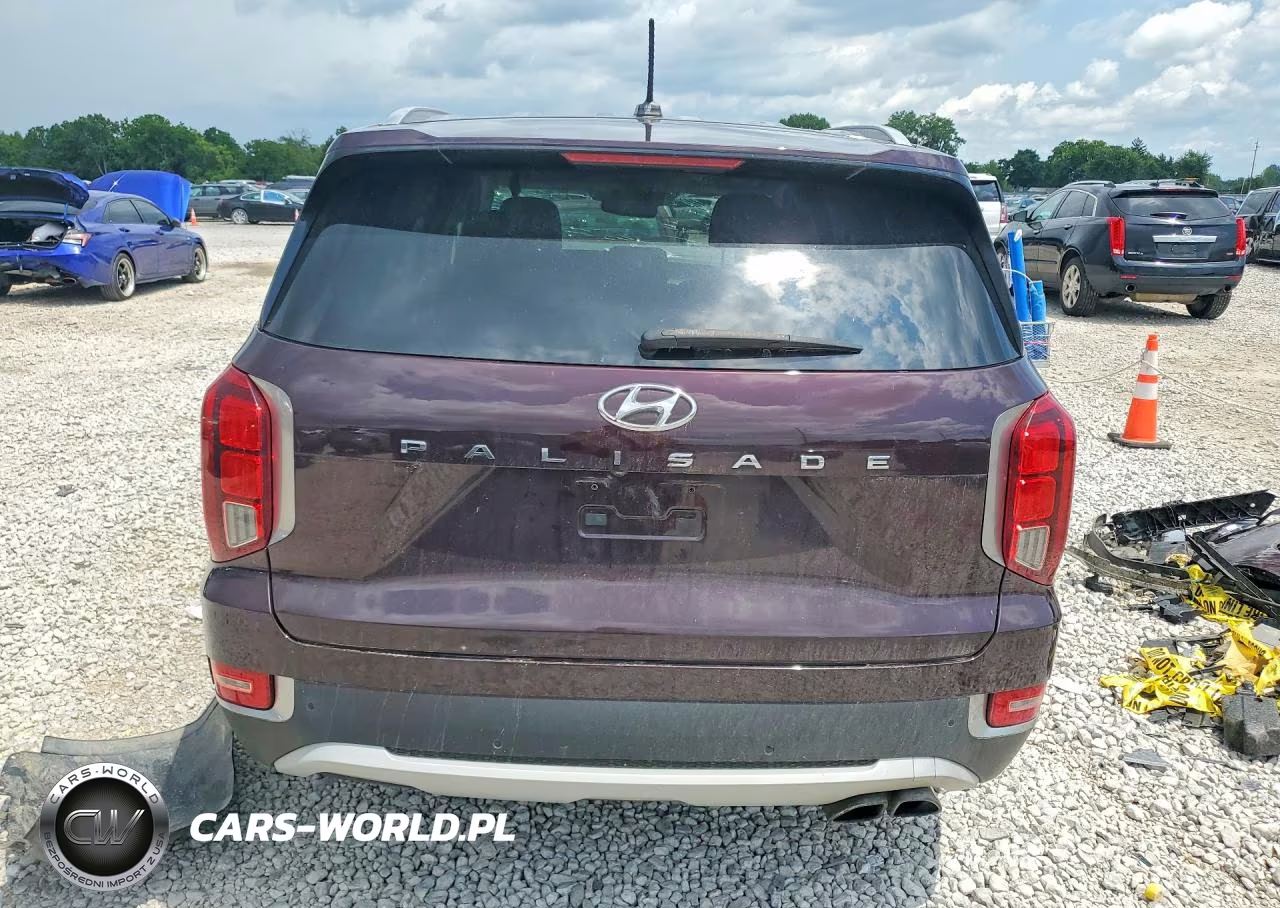 2020 Hyundai Palisade Sel VIN:KM8R34HE7LU170662 - 6