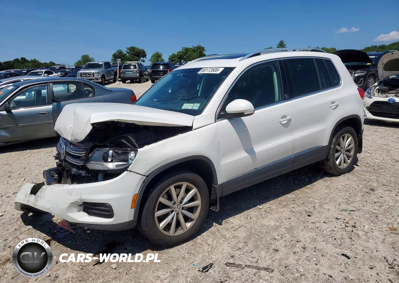 2017 Volkswagen Tiguan Wolfsburg