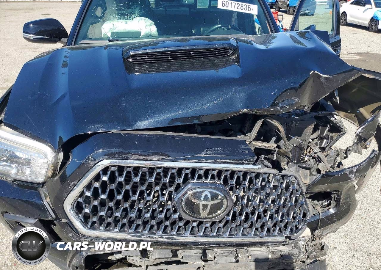 2019 Toyota Tacoma Trd Sport VIN:3TMDZ5BN1KM070751 - 11