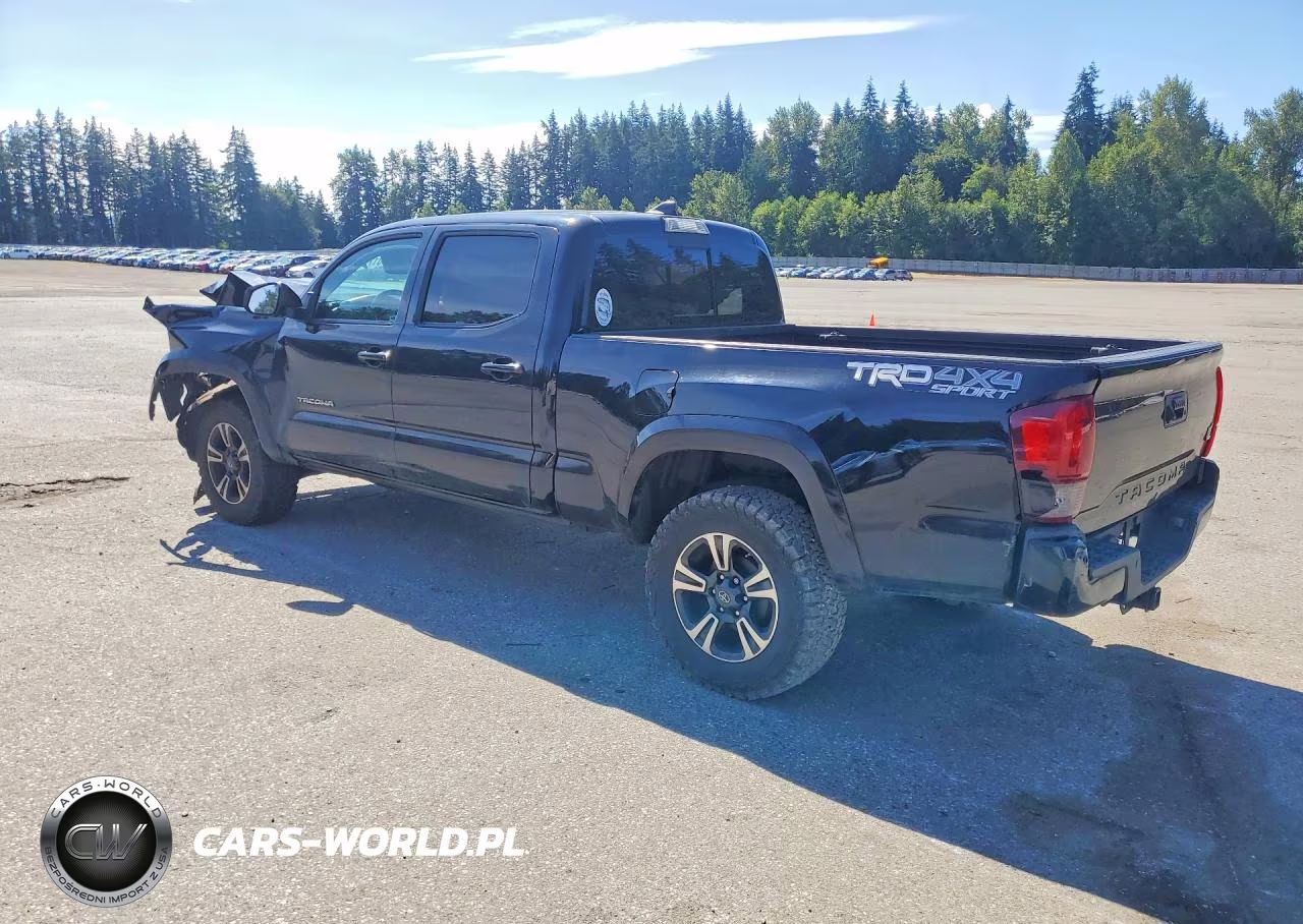 2019 Toyota Tacoma Trd Sport VIN:3TMDZ5BN1KM070751 - 2