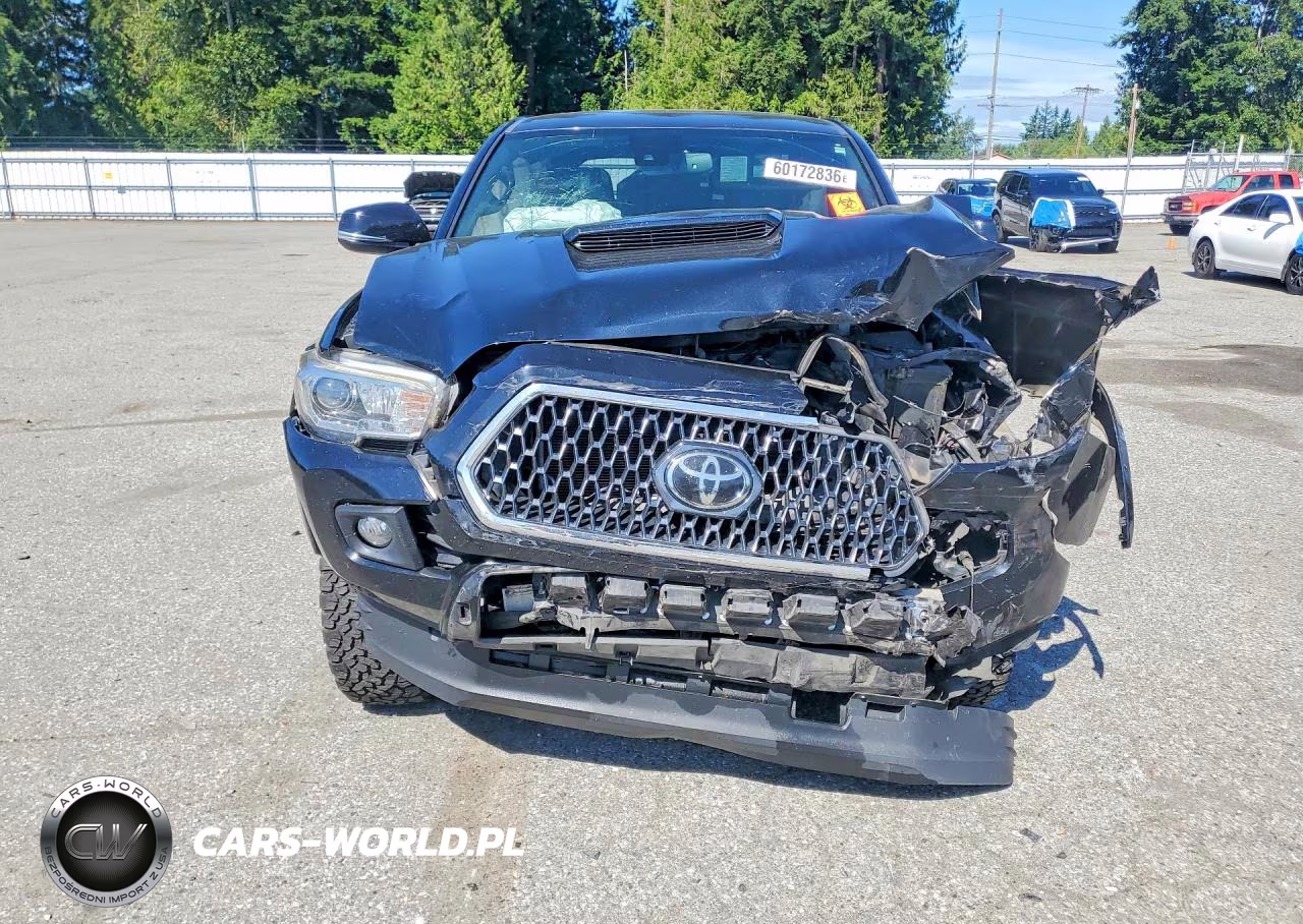 2019 Toyota Tacoma Trd Sport VIN:3TMDZ5BN1KM070751 - 5