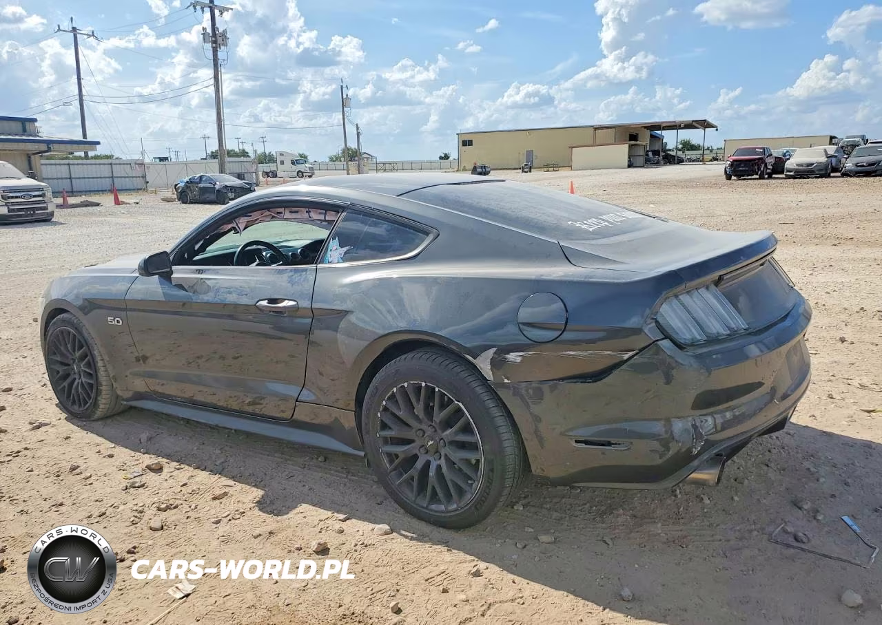 2016 Ford Mustang Gt VIN:1FA6P8CF9G5246150 - 2