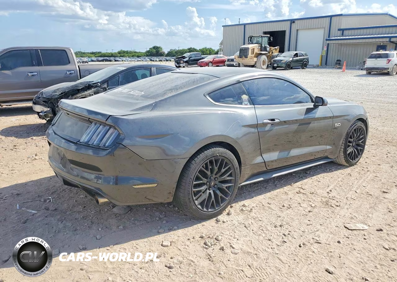 2016 Ford Mustang Gt VIN:1FA6P8CF9G5246150 - 3