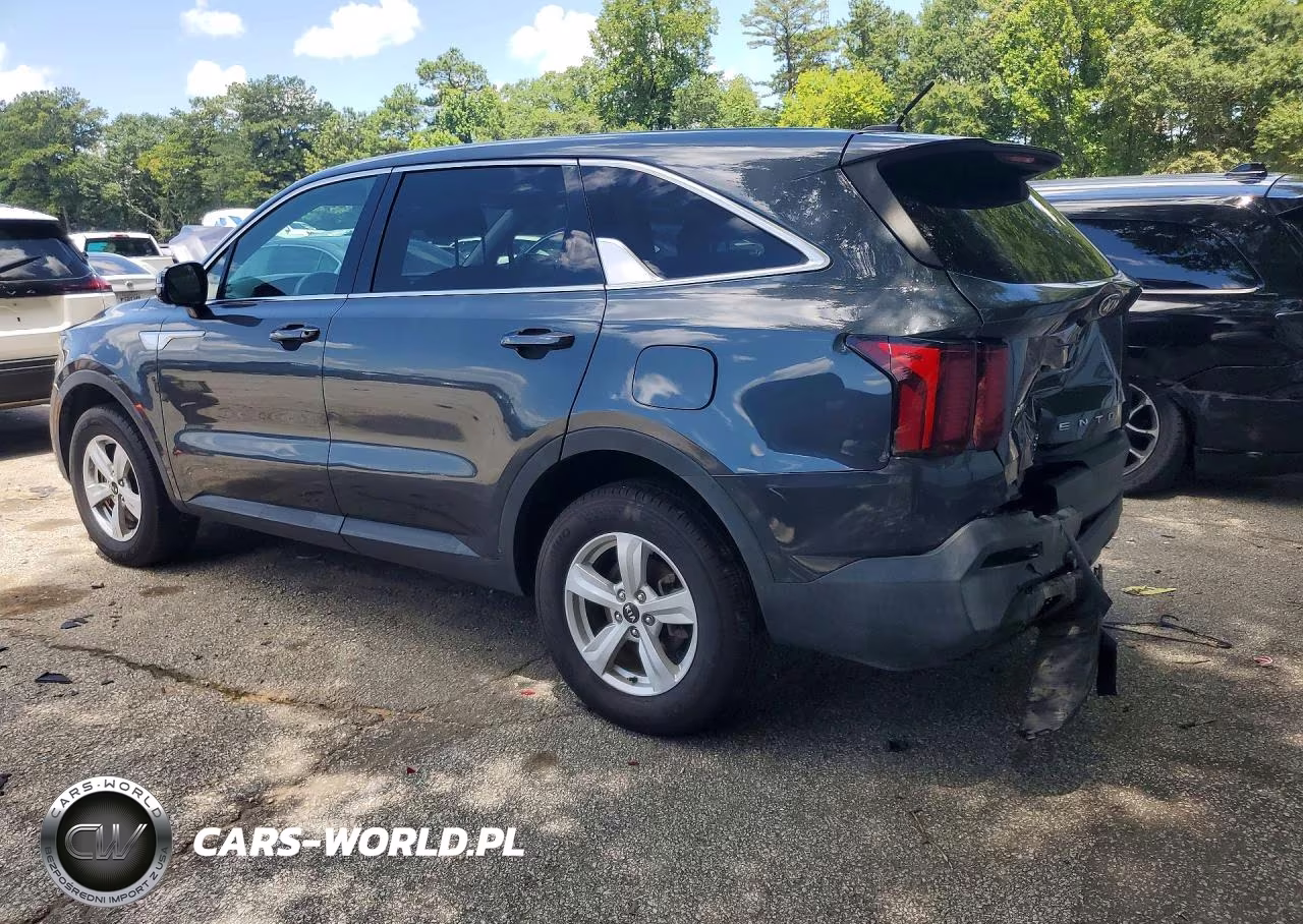 2021 Kia Sorento Lx VIN:5XYRGDLC9MG022613 - 2