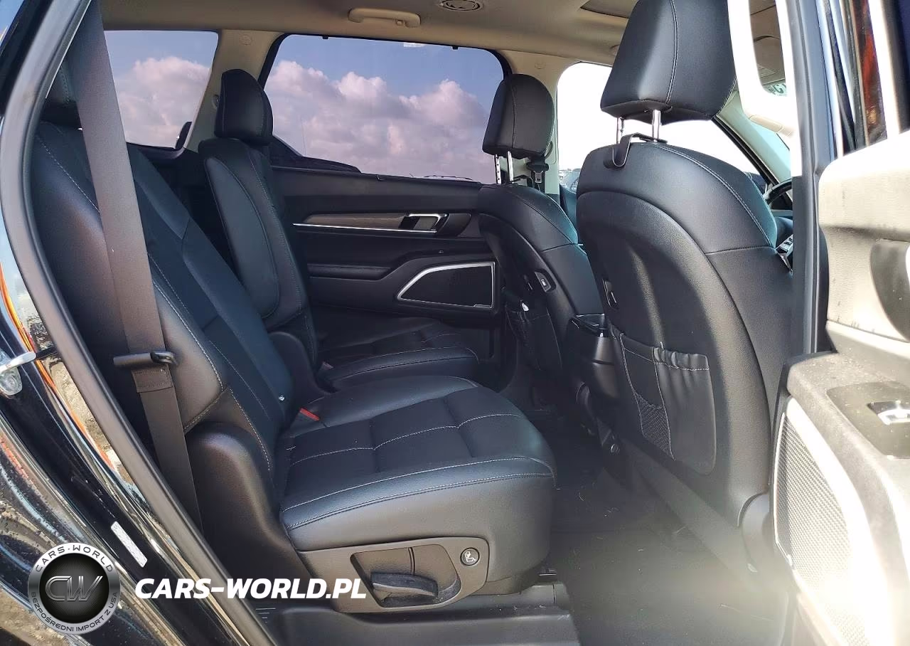 2022 Kia Telluride Ex VIN:5XYP3DHCXNG215172 - 11