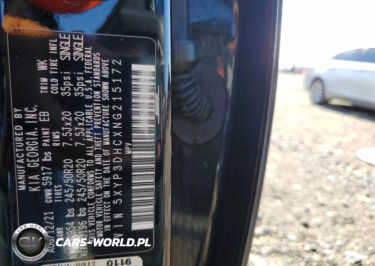 2022 Kia Telluride Ex VIN:5XYP3DHCXNG215172 - 13
