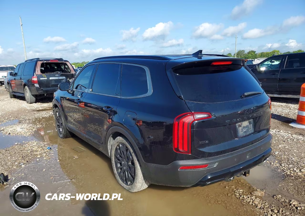 2022 Kia Telluride Ex VIN:5XYP3DHCXNG215172 - 2