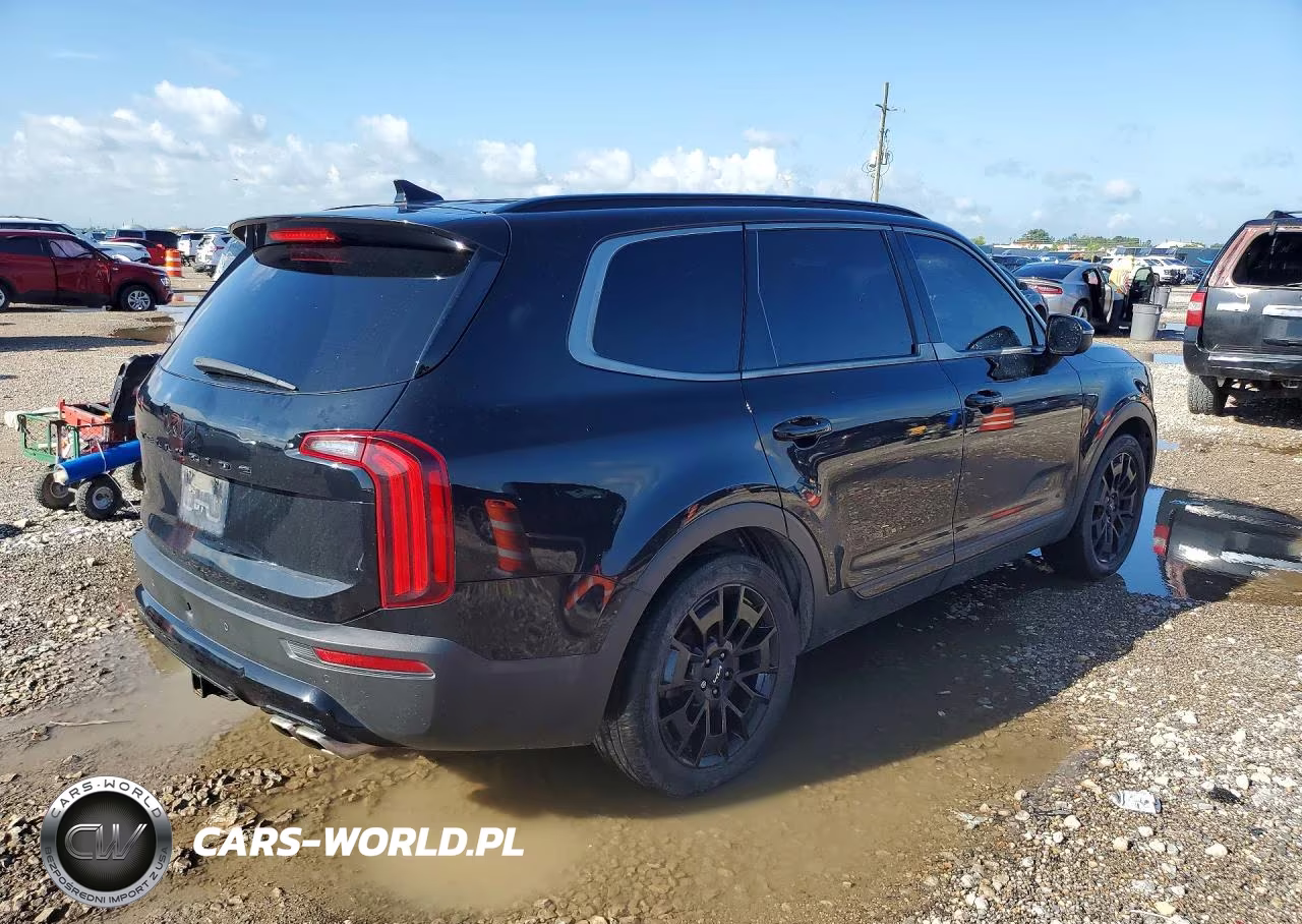 2022 Kia Telluride Ex VIN:5XYP3DHCXNG215172 - 3