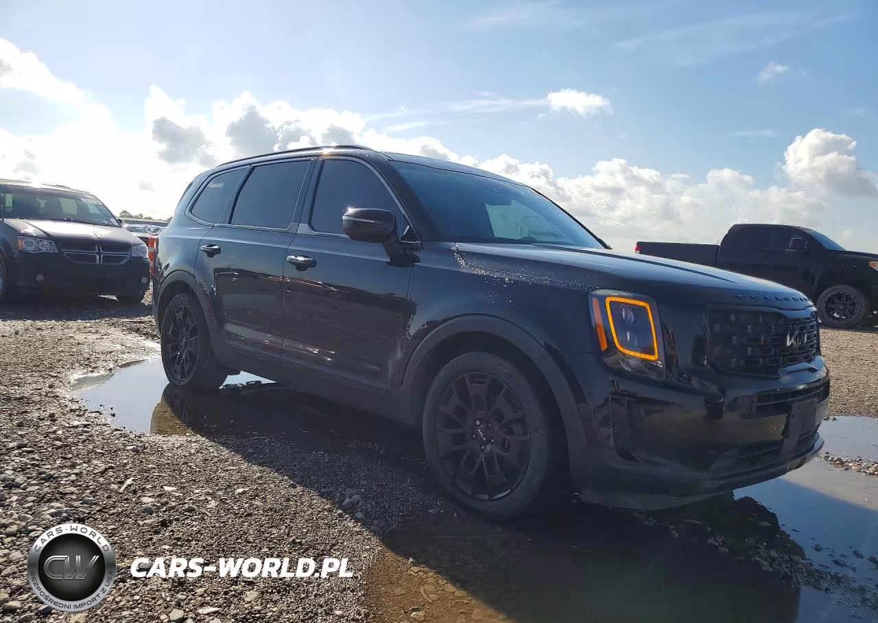 2022 Kia Telluride Ex VIN:5XYP3DHCXNG215172 - 4