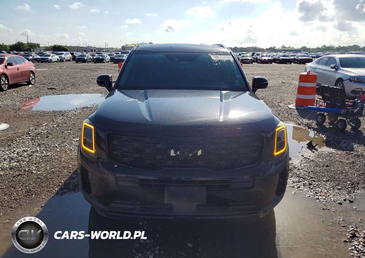 2022 Kia Telluride Ex VIN:5XYP3DHCXNG215172 - 5