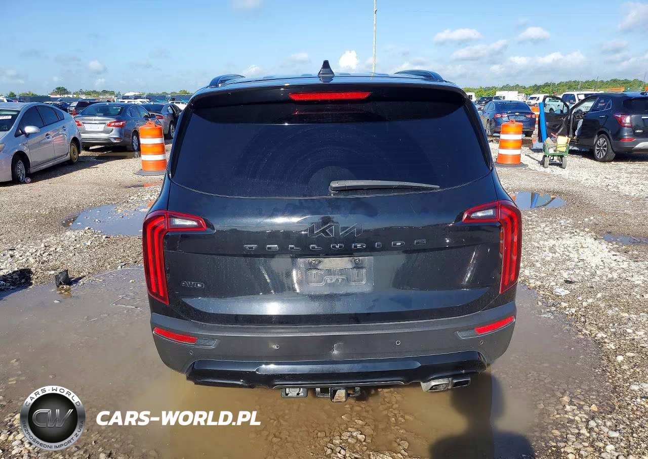 2022 Kia Telluride Ex VIN:5XYP3DHCXNG215172 - 6