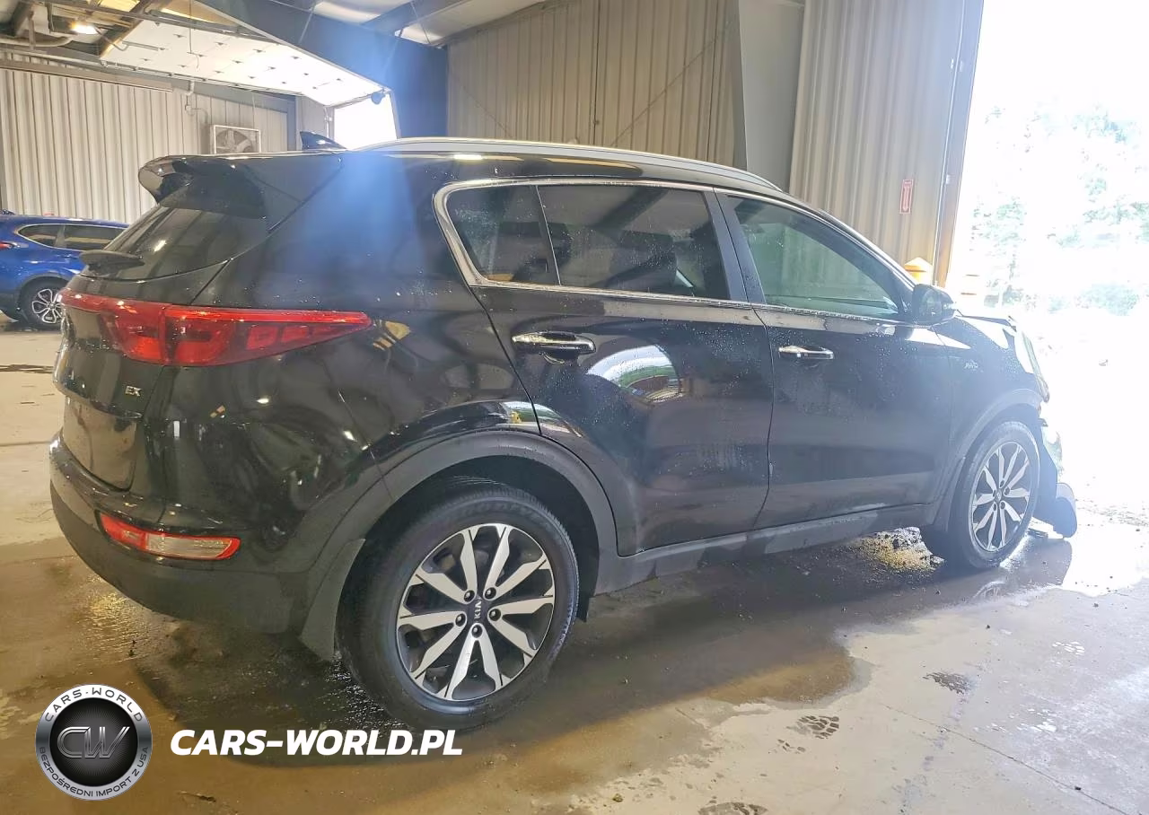 2017 Kia Sportage Ex VIN:KNDPNCAC4H7139917 - 3