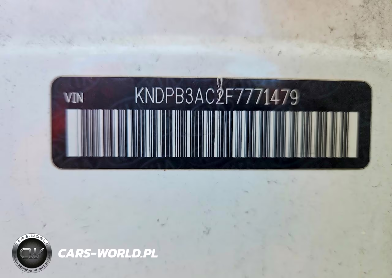 2015 Kia Sportage Lx VIN:KNDPB3AC2F7771479 - 12