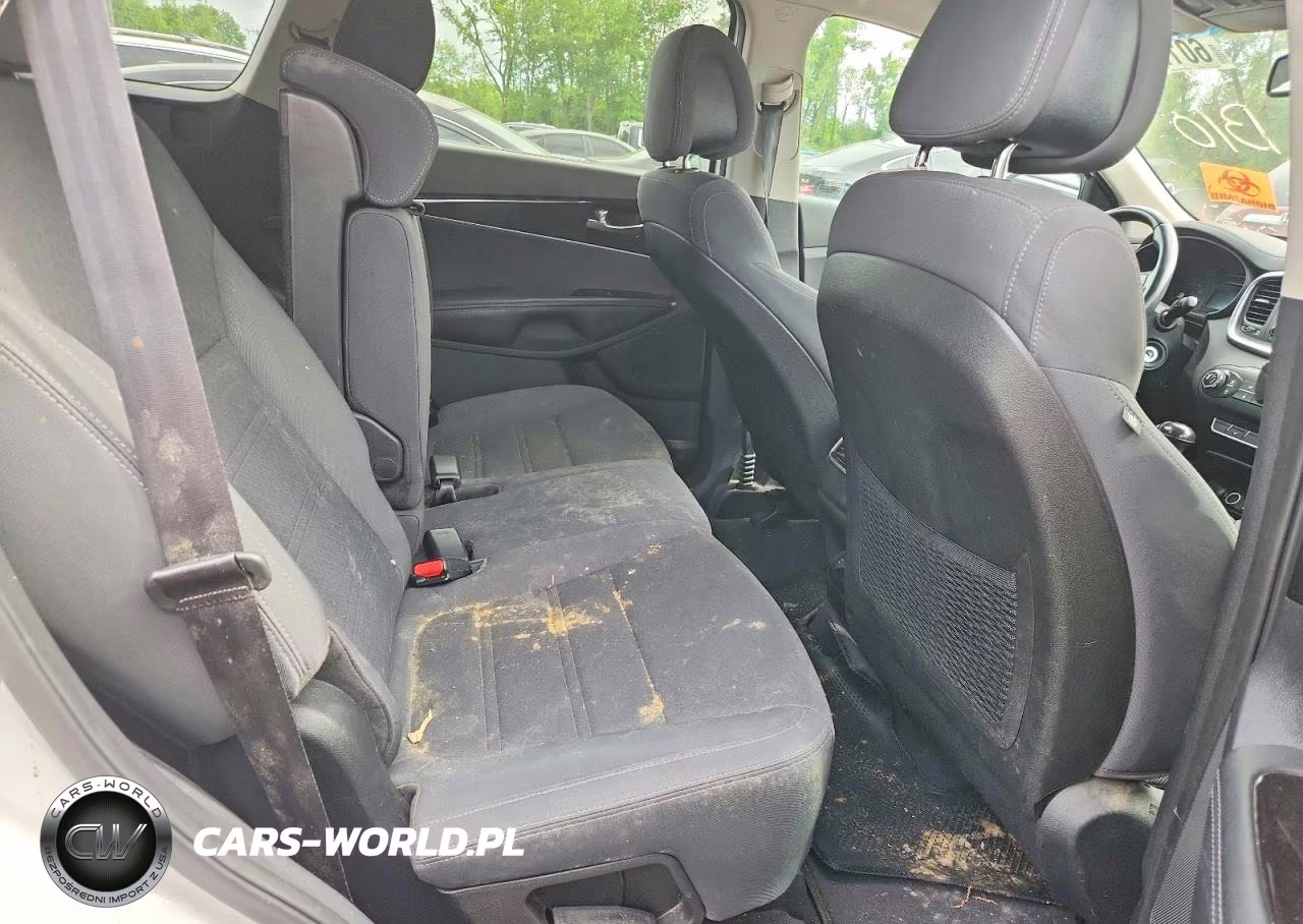2016 Kia Sorento Lx VIN:5XYPGDA31GG044734 - 10
