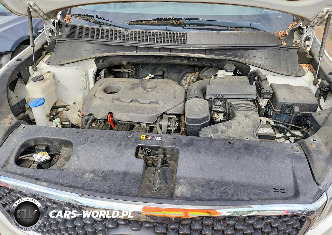 2016 Kia Sorento Lx VIN:5XYPGDA31GG044734 - 11