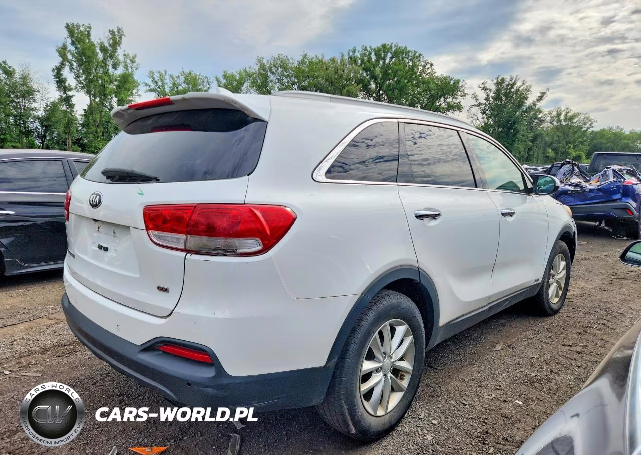 2016 Kia Sorento Lx VIN:5XYPGDA31GG044734 - 3
