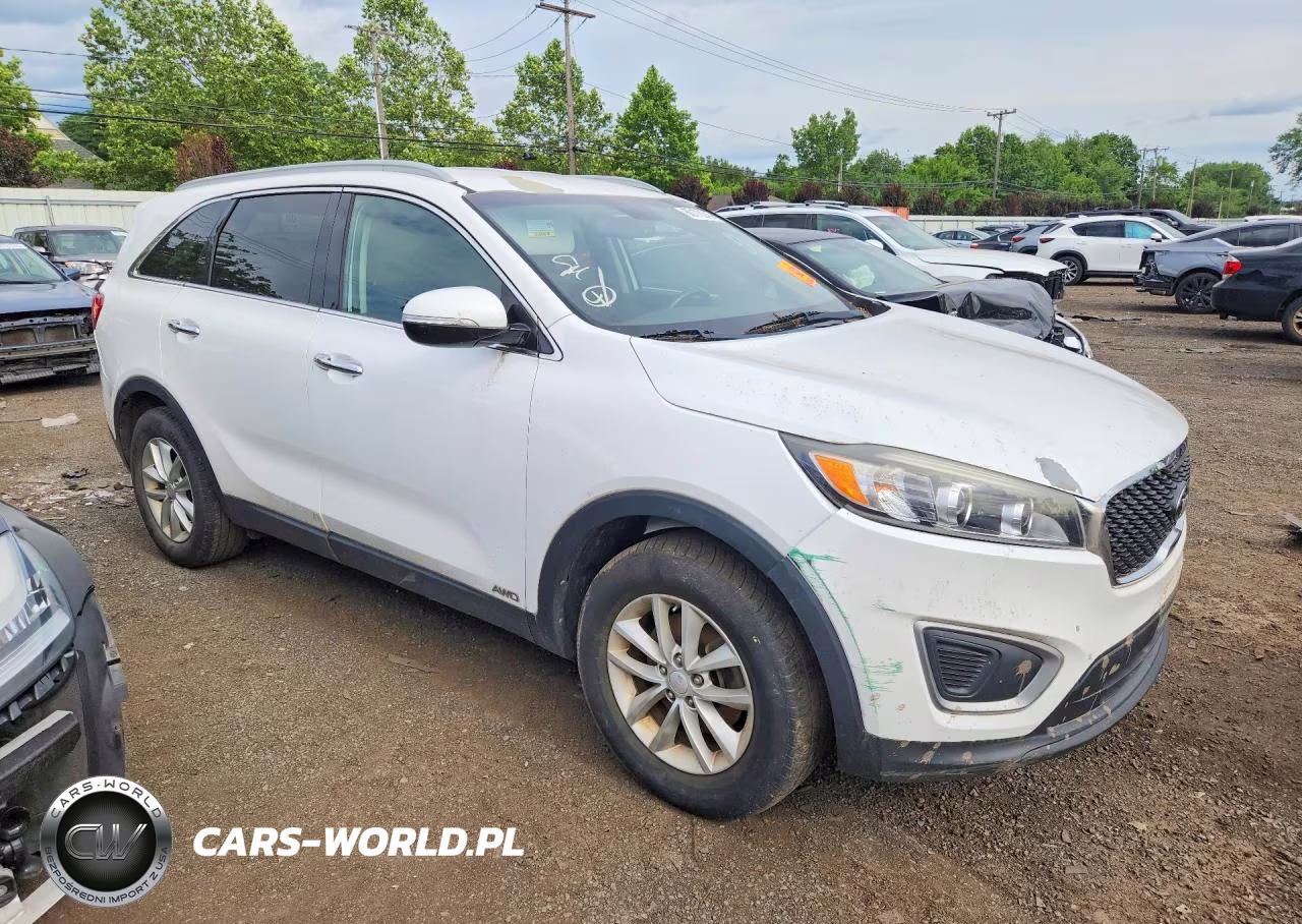 2016 Kia Sorento Lx VIN:5XYPGDA31GG044734 - 4